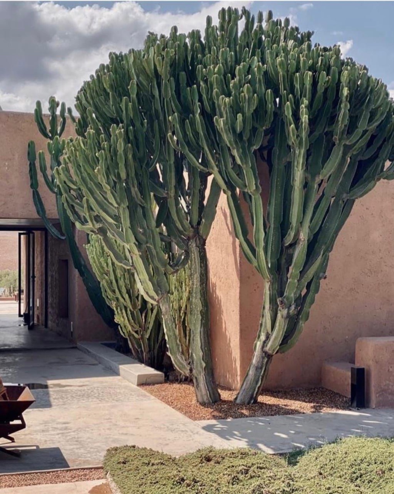 Villa Legend — WhatsApp Image 2026-02-06 at 13.07.06 (5).jpeg